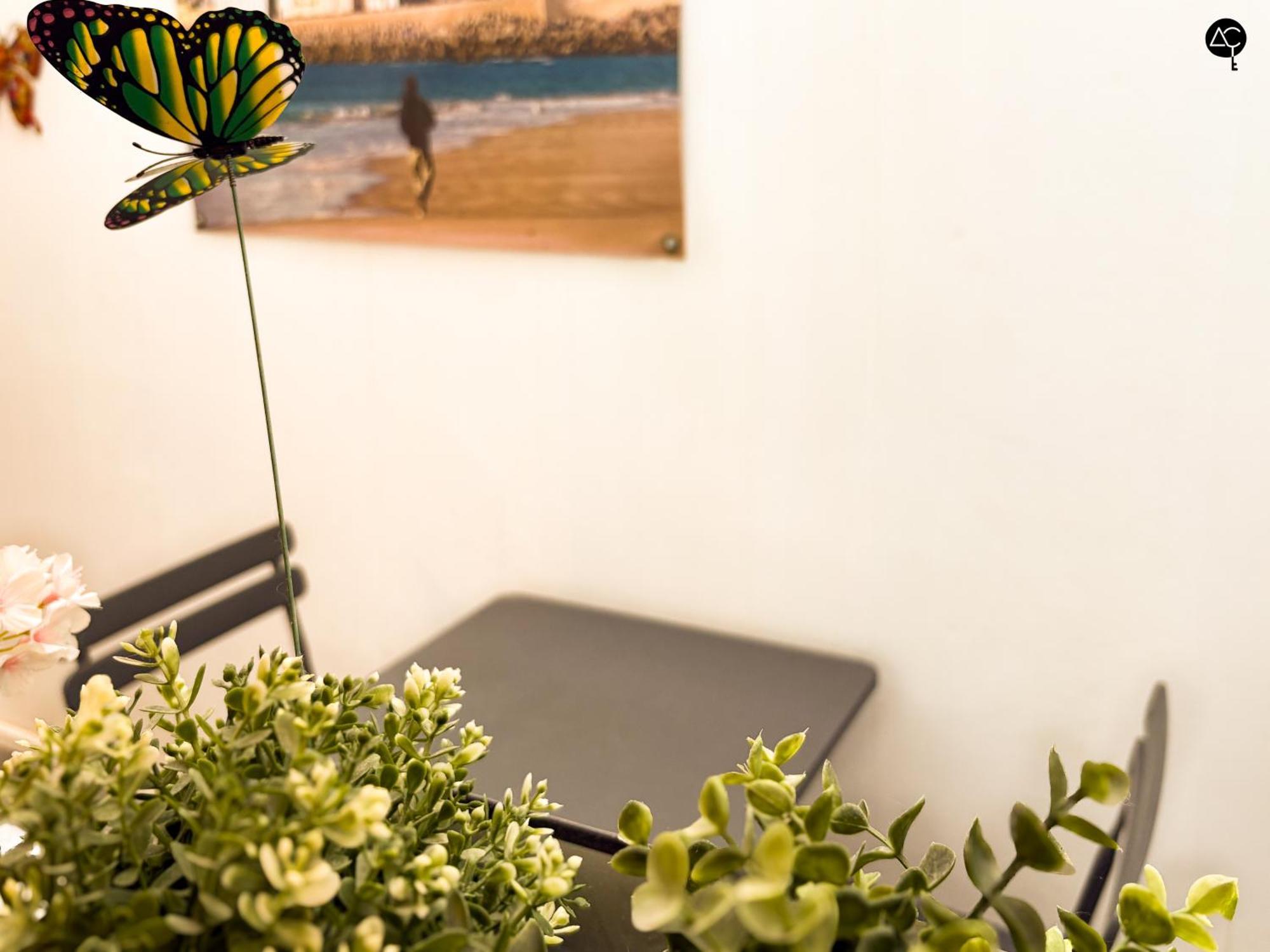 Apartmán Casita Del Mentidero Grupo Ac Gestion Cádiz Exteriér fotografie